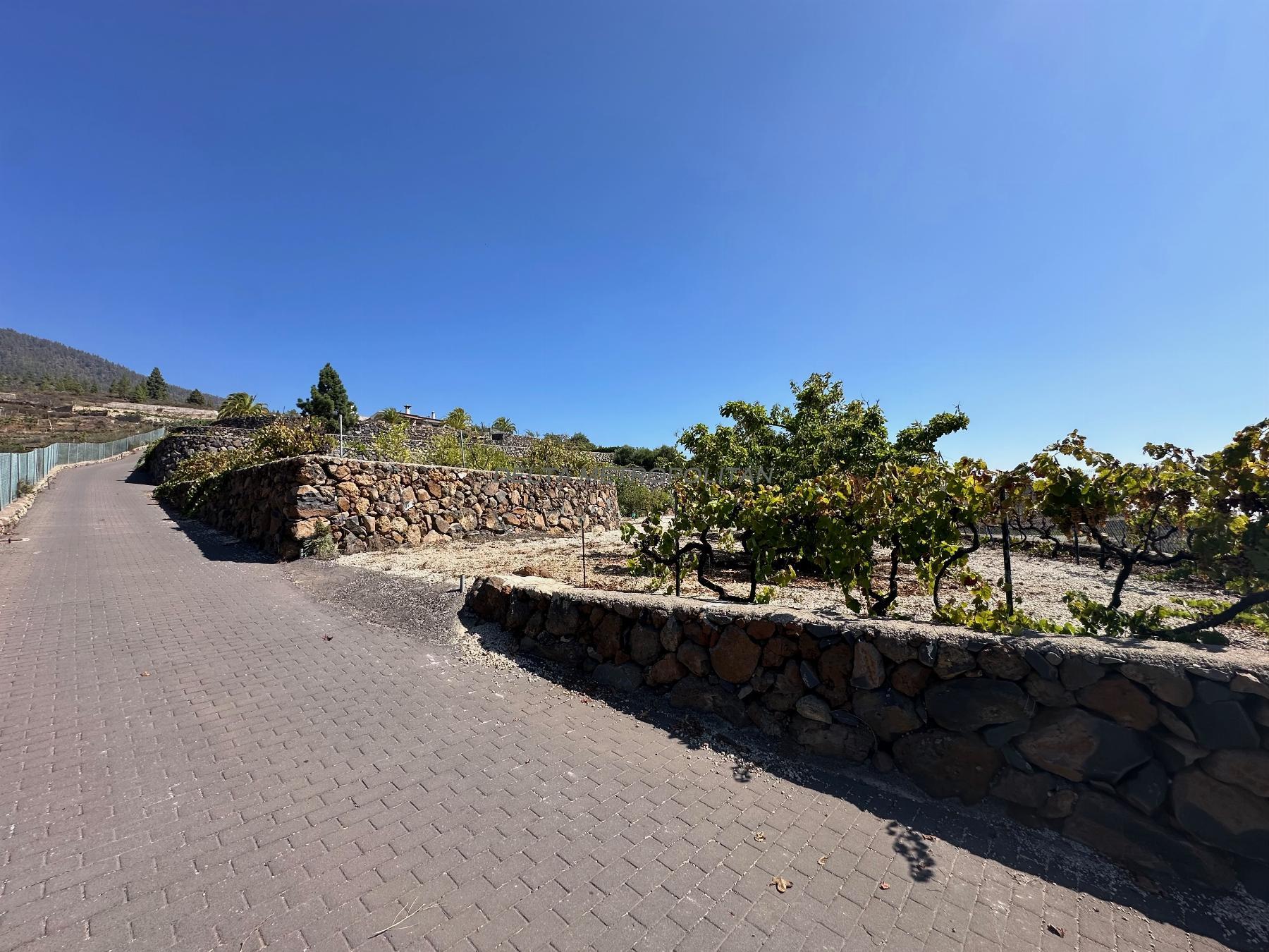 Zu verkaufen von landgrundstück in
 Granadilla de Abona