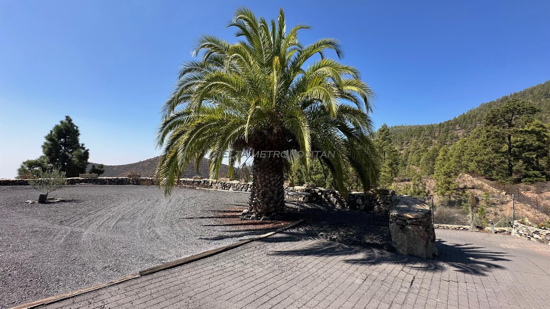 Zu verkaufen von landgrundstück in
 Granadilla de Abona