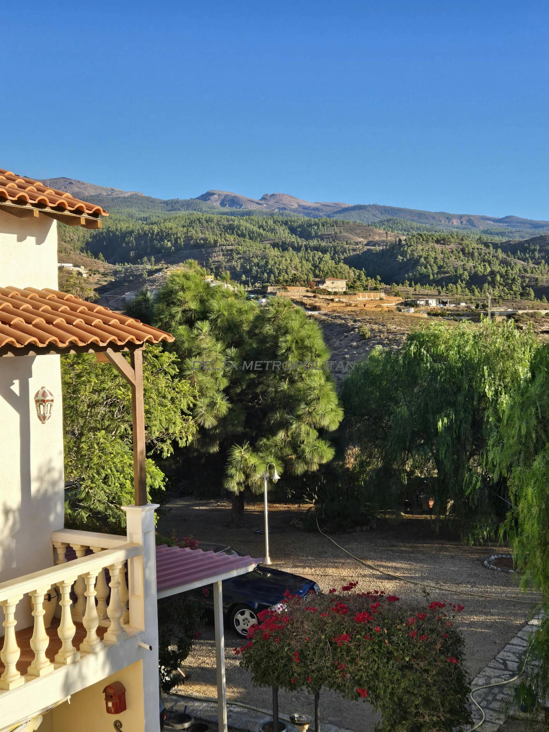 Venta de finca rústica en Granadilla de Abona