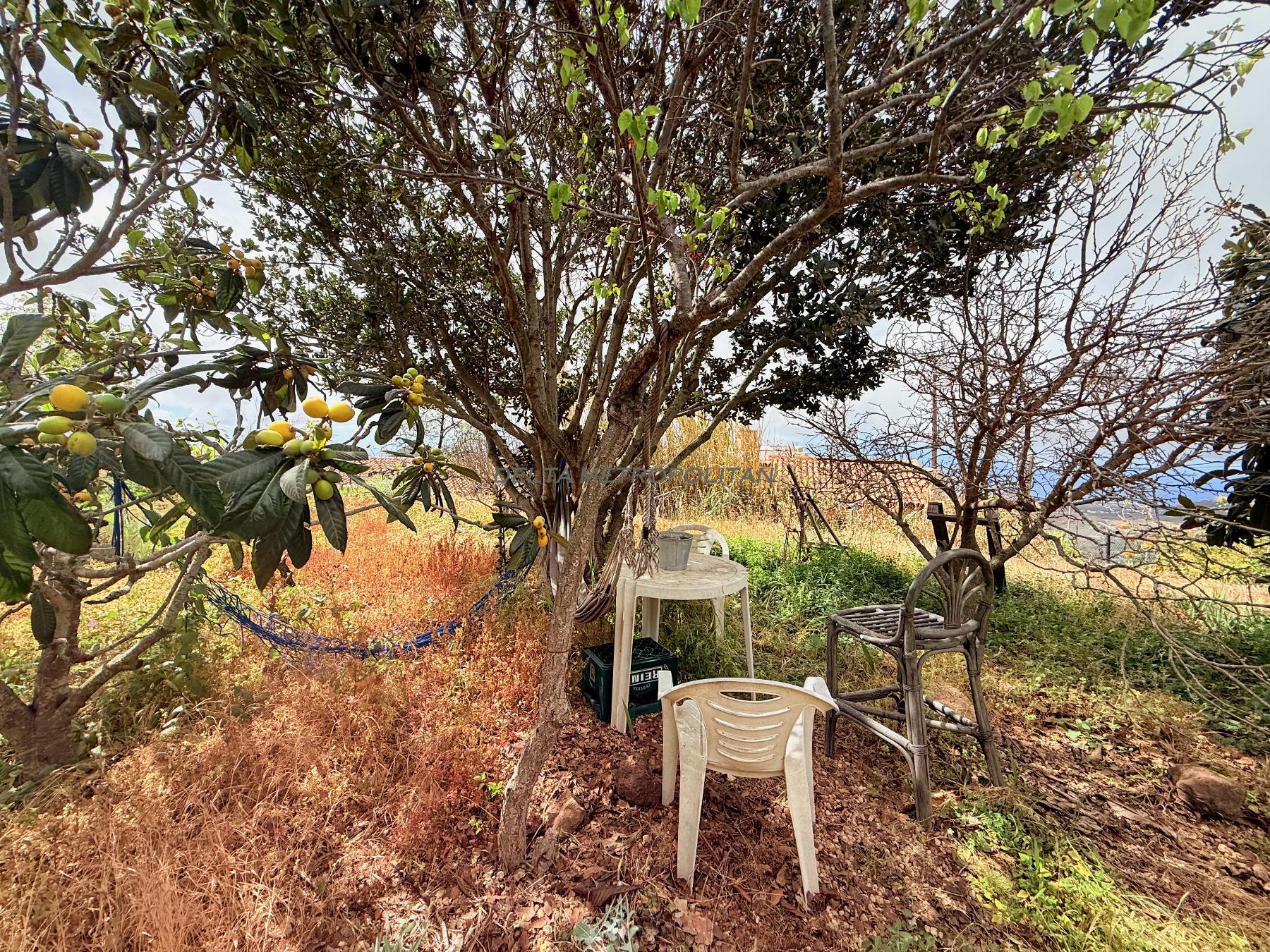 Venta de finca rústica en Vilaflor