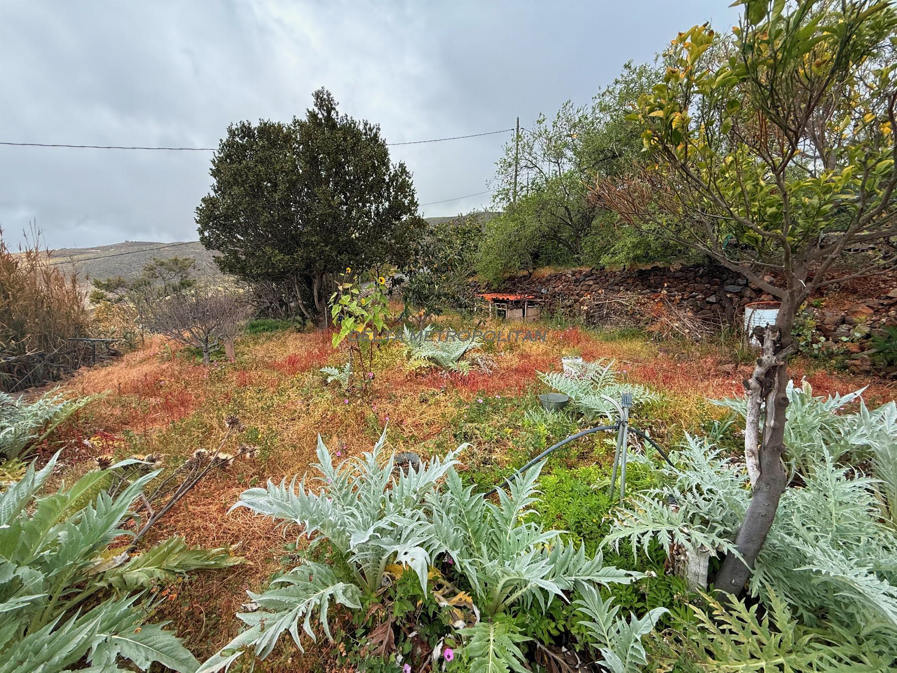 Venta de finca rústica en Vilaflor