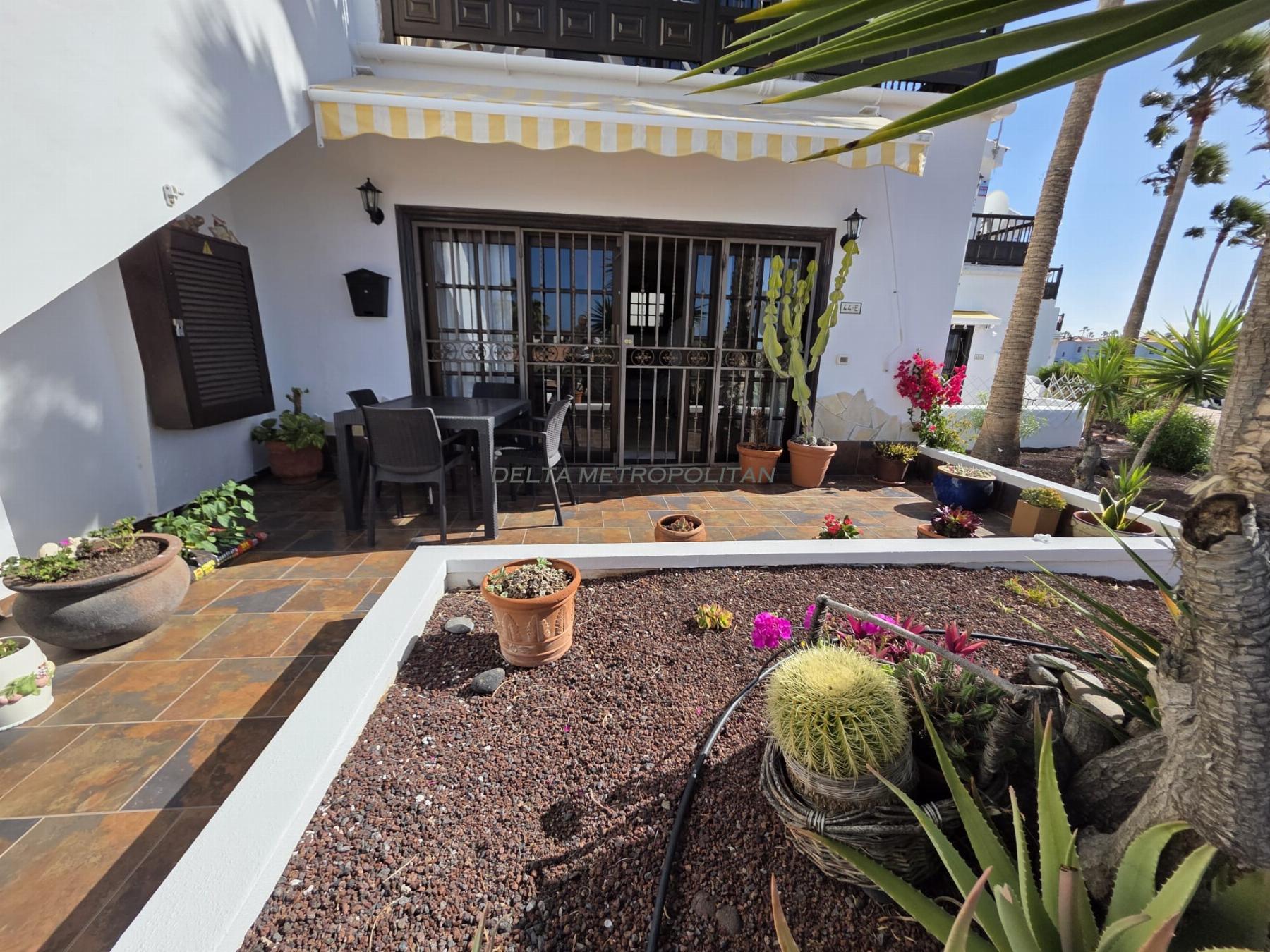 Terraza