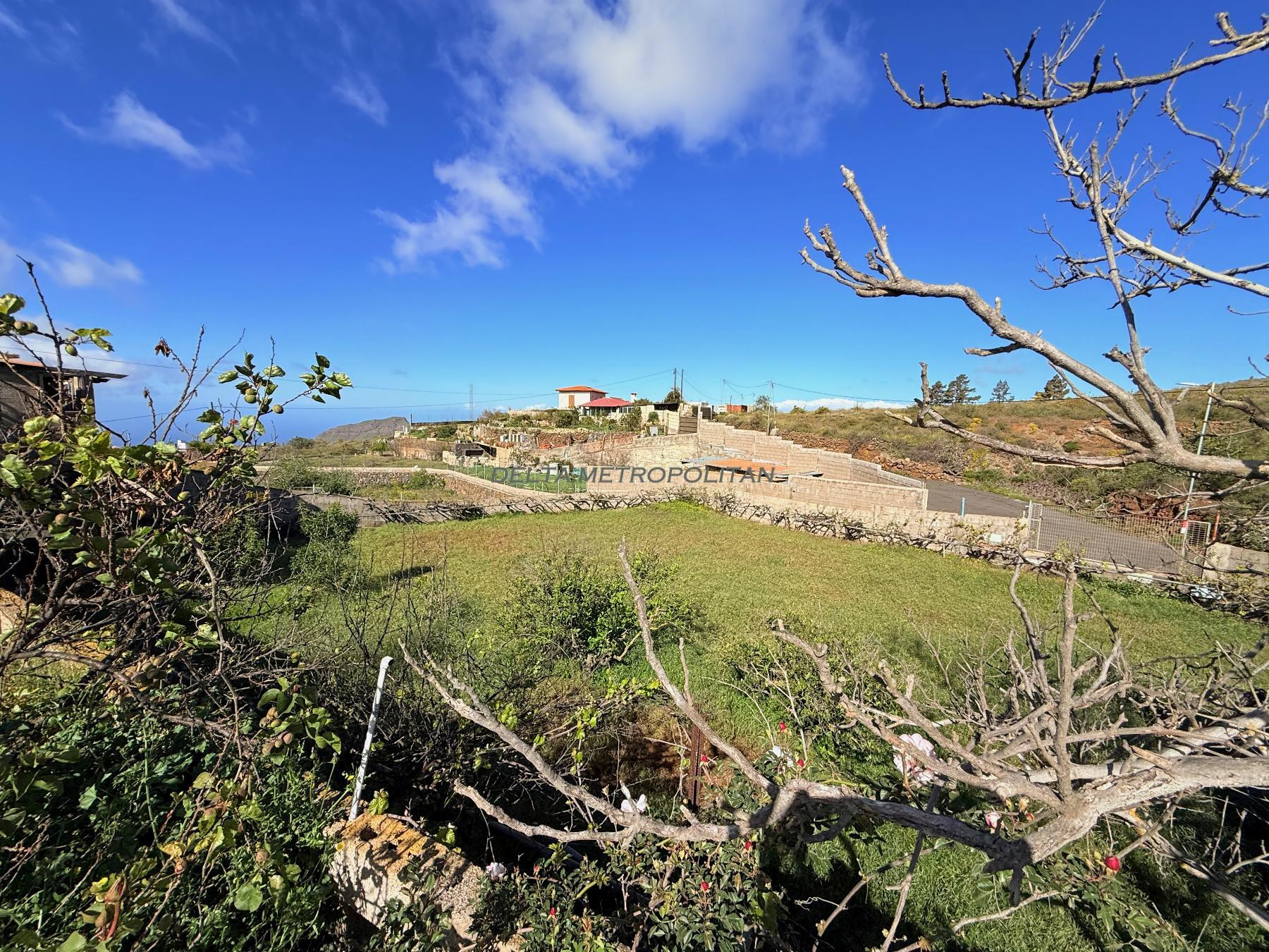 Venta de finca rústica en Vilaflor