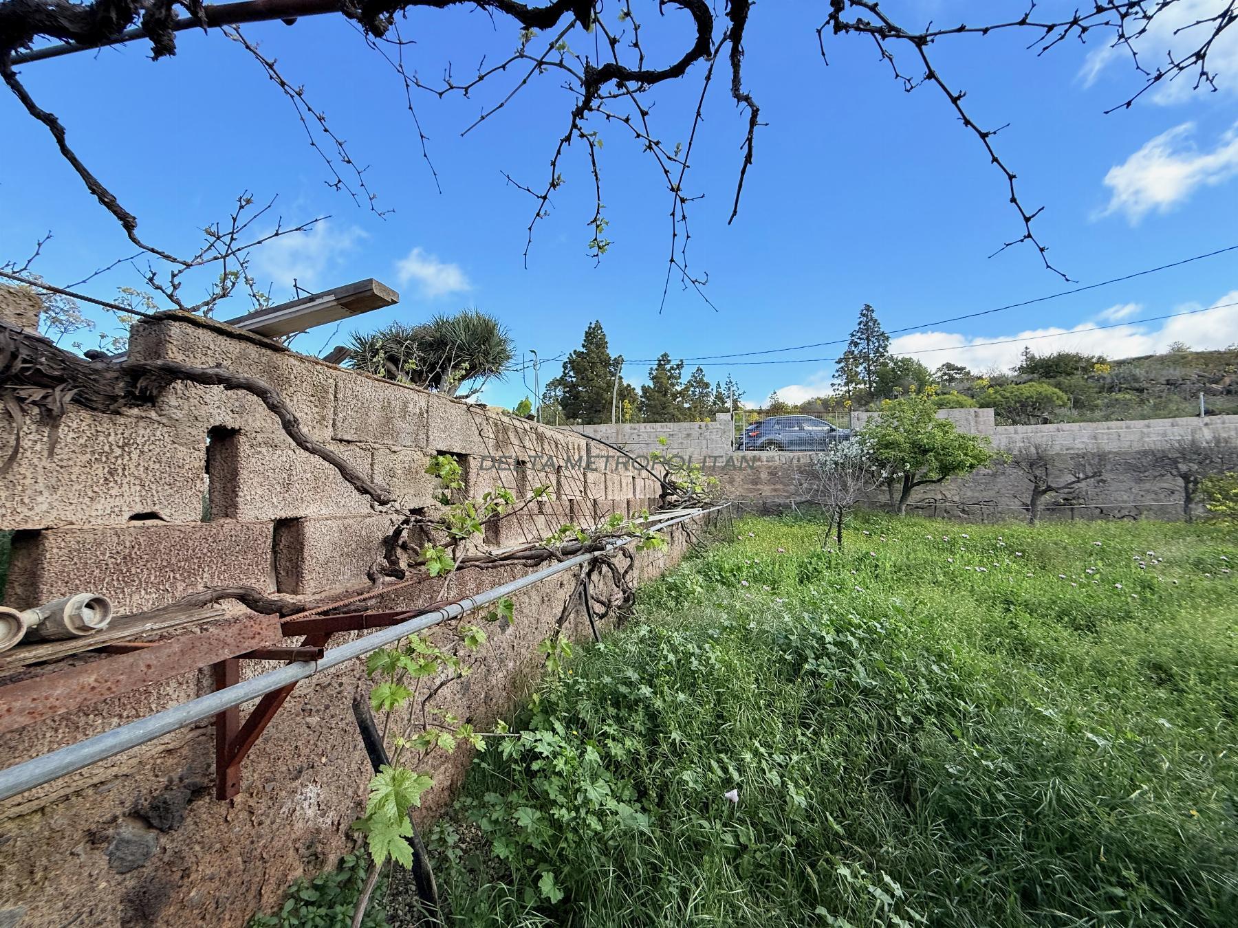 Venta de finca rústica en Vilaflor