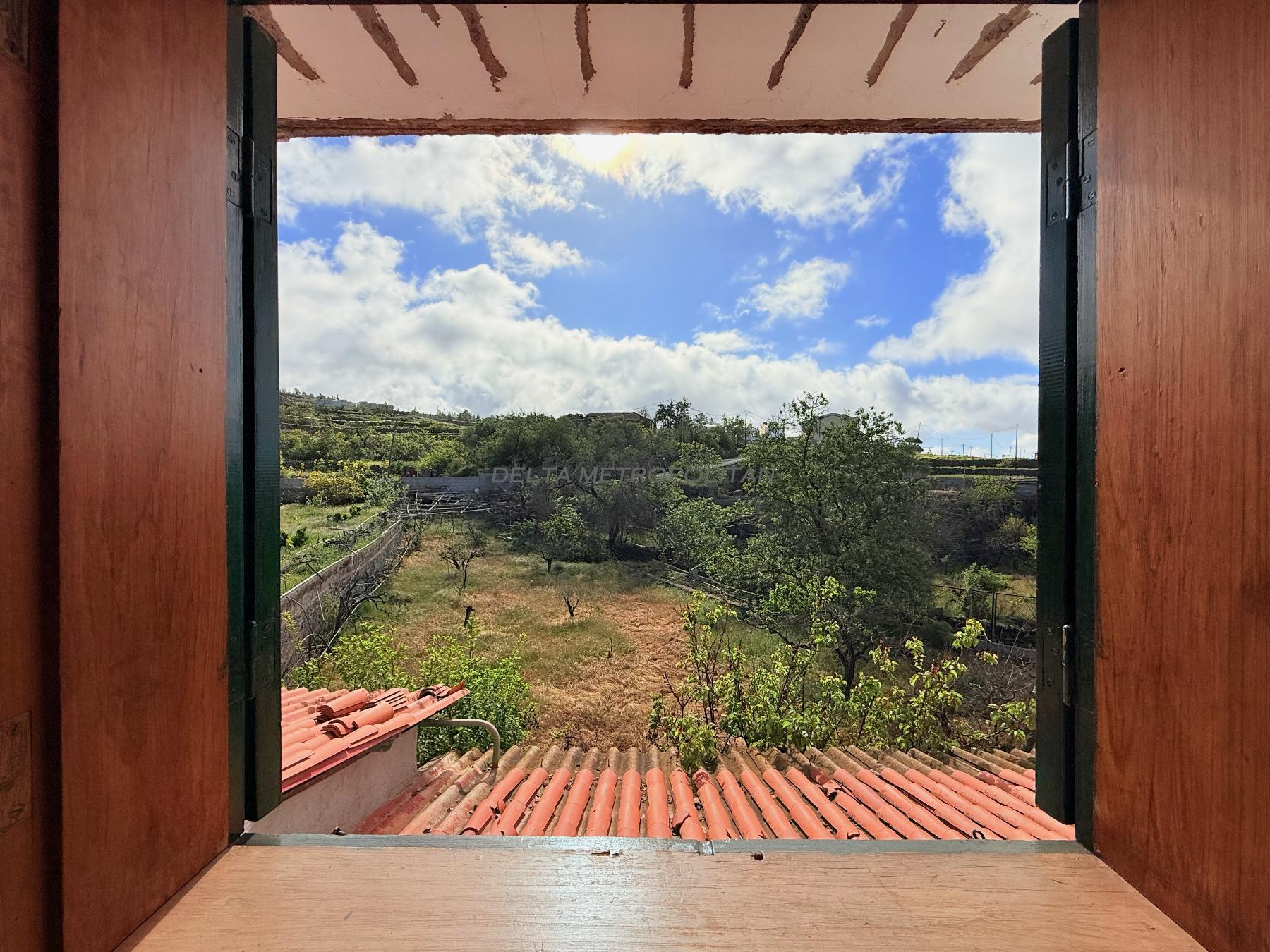 Venta de finca rústica en Vilaflor