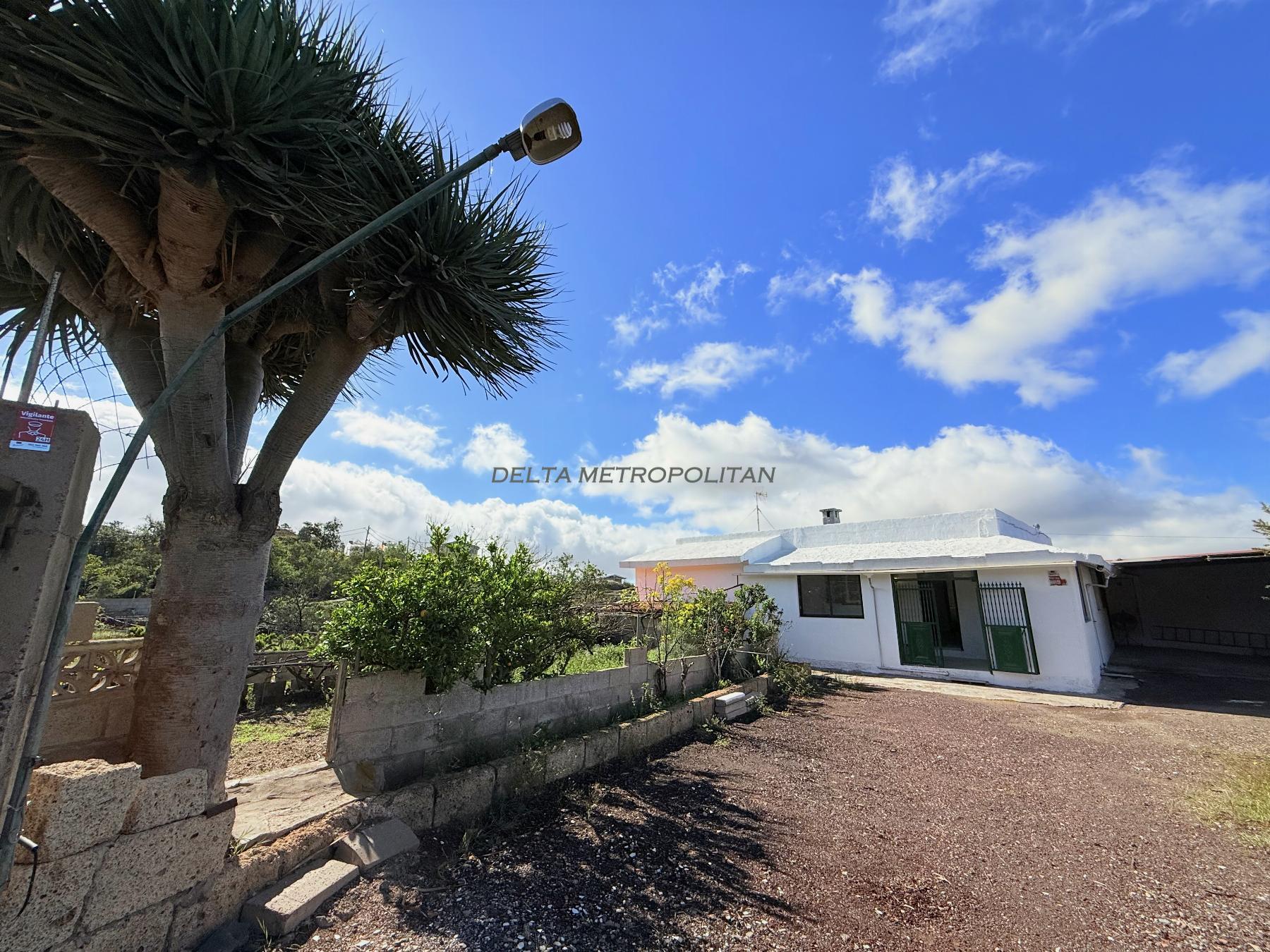 Venta de finca rústica en Vilaflor
