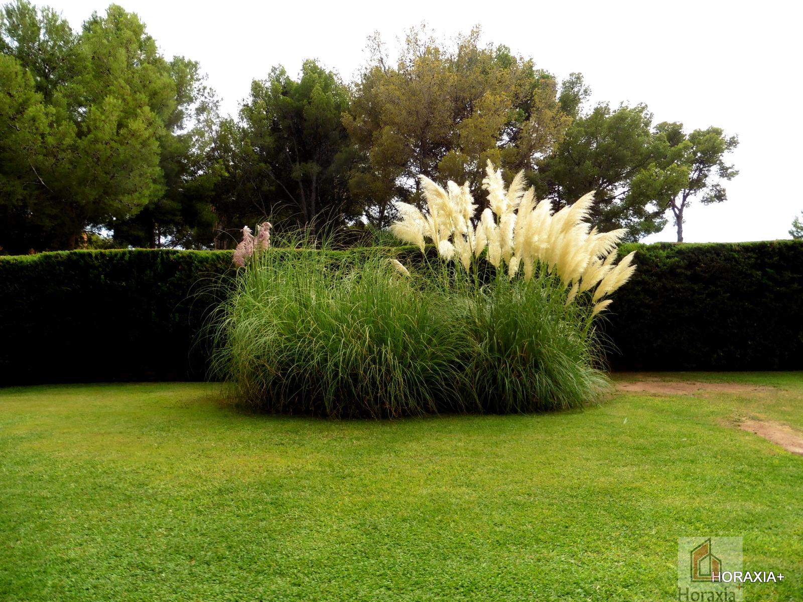For rent of flat in Castelldefels