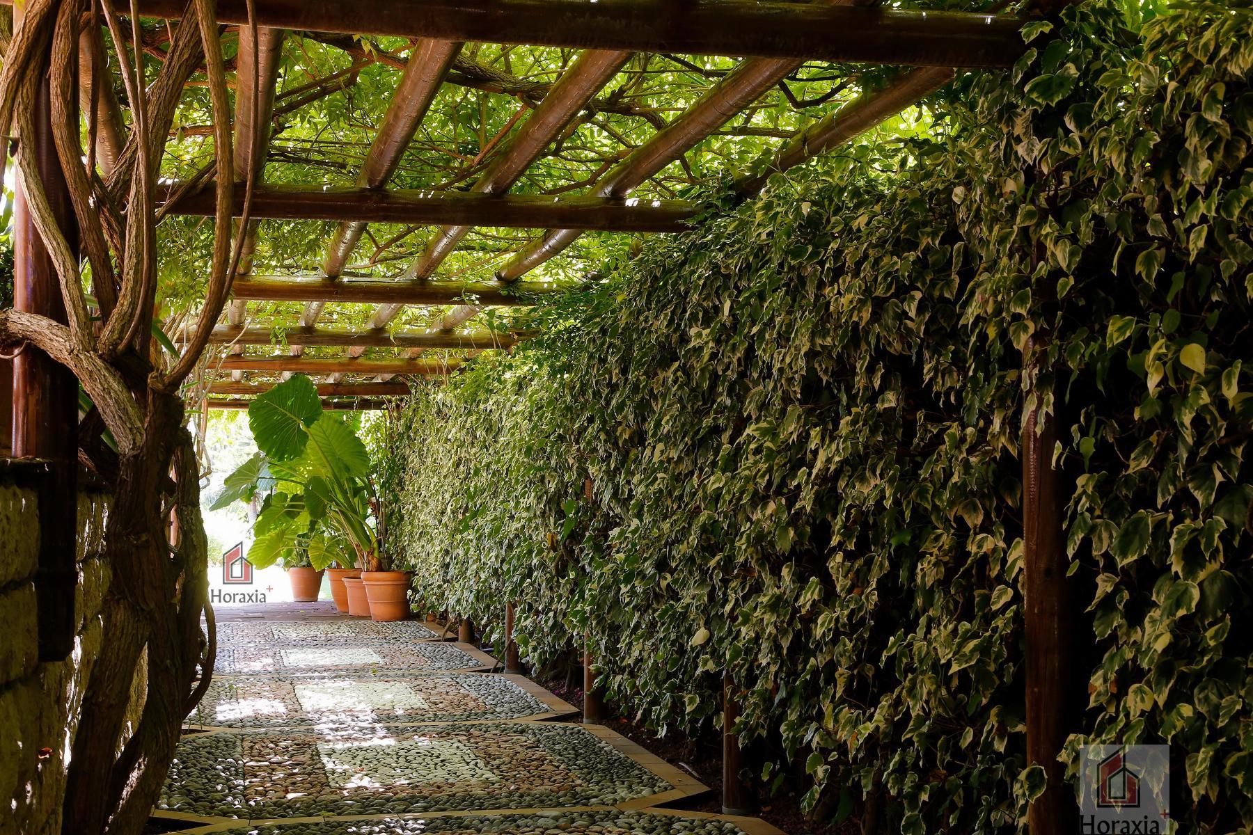 For sale of house in Sitges