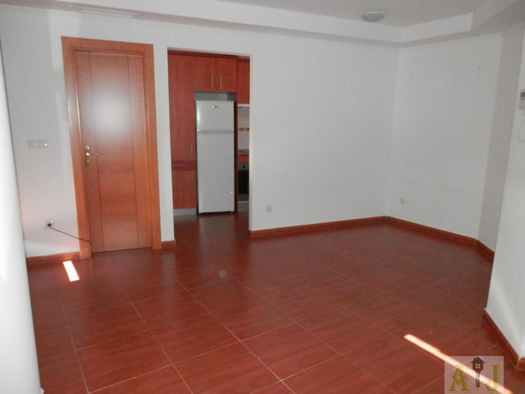 For rent of penthouse in Madrid