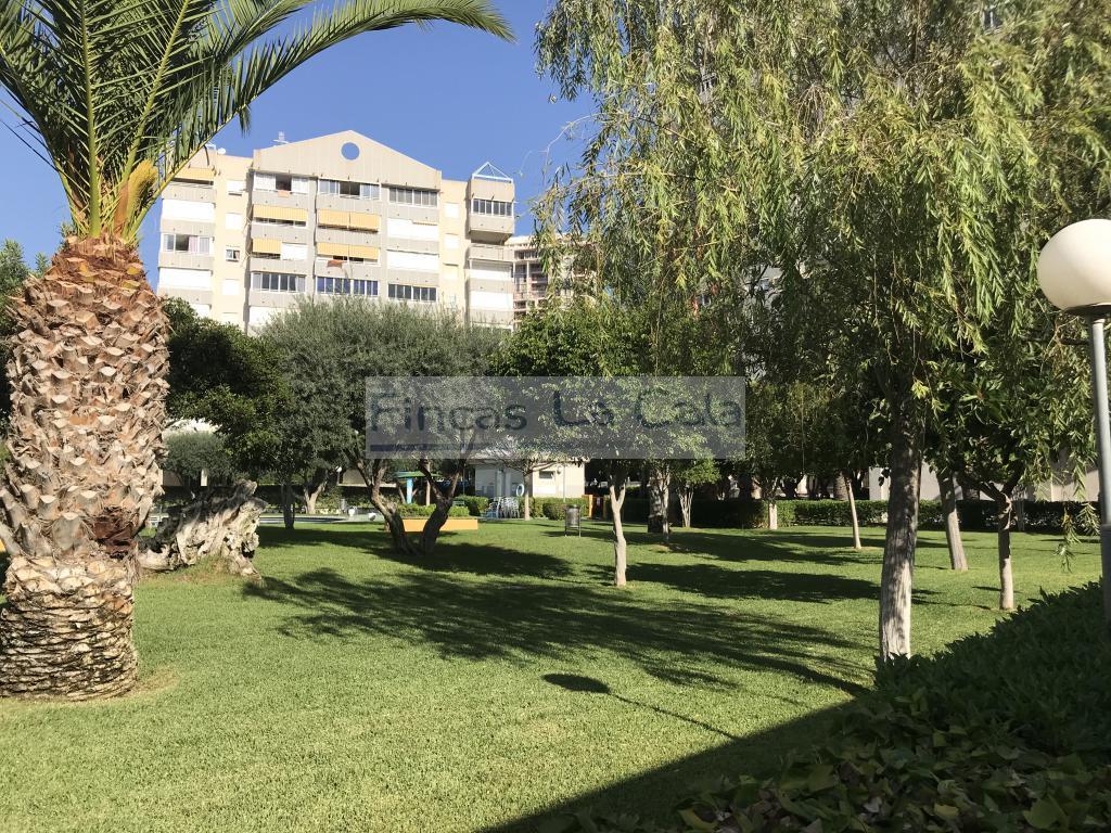 Alquiler de apartamento en Finestrat