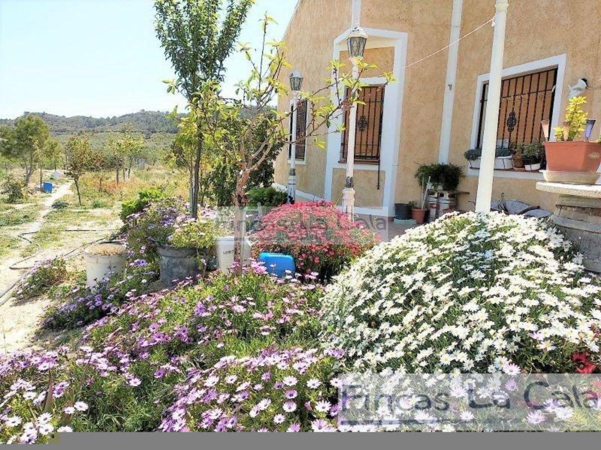 For sale of bungalow in Relleu