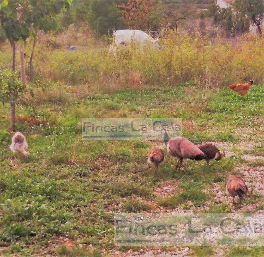 For sale of bungalow in Relleu
