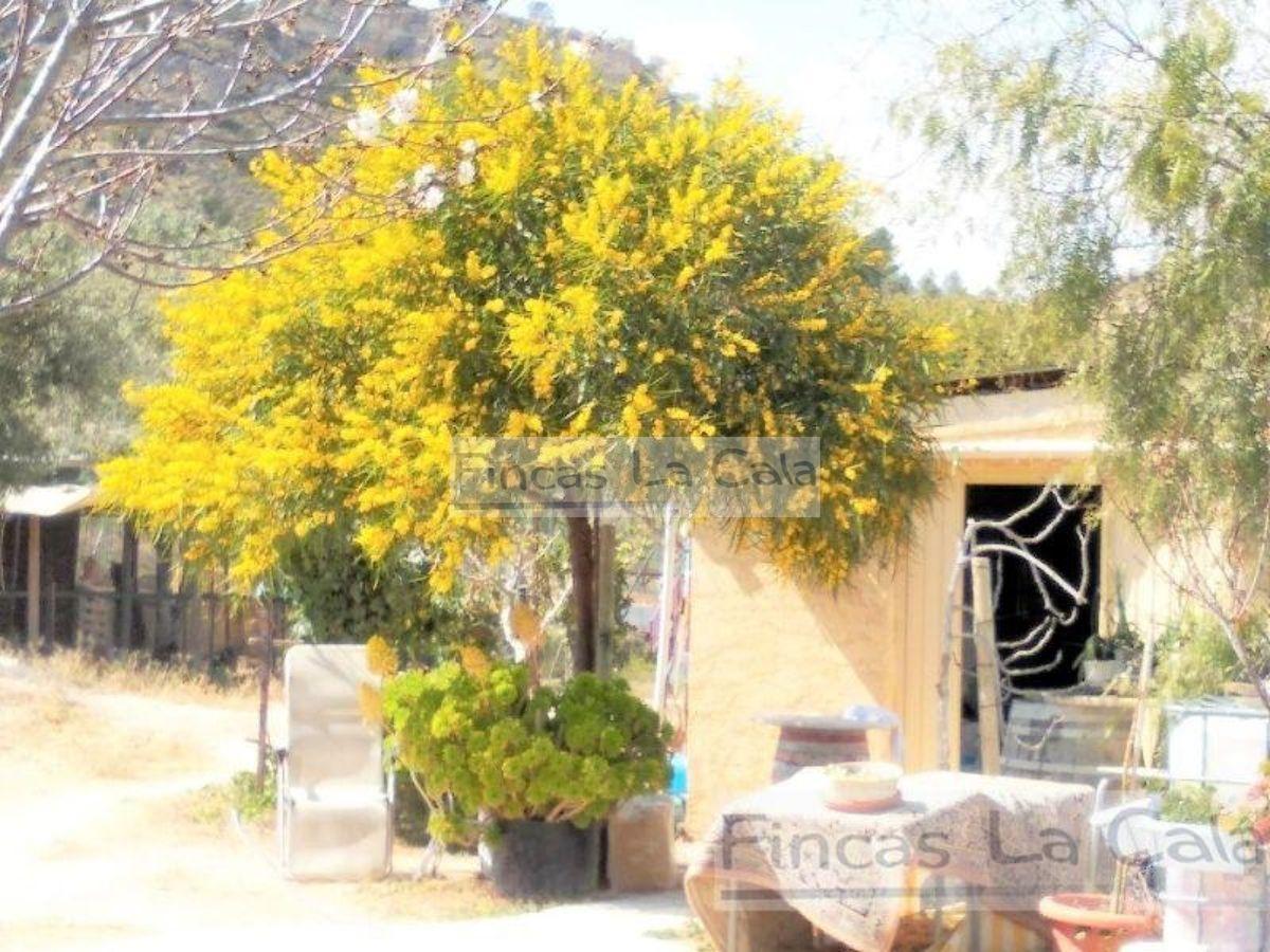 For sale of bungalow in Relleu