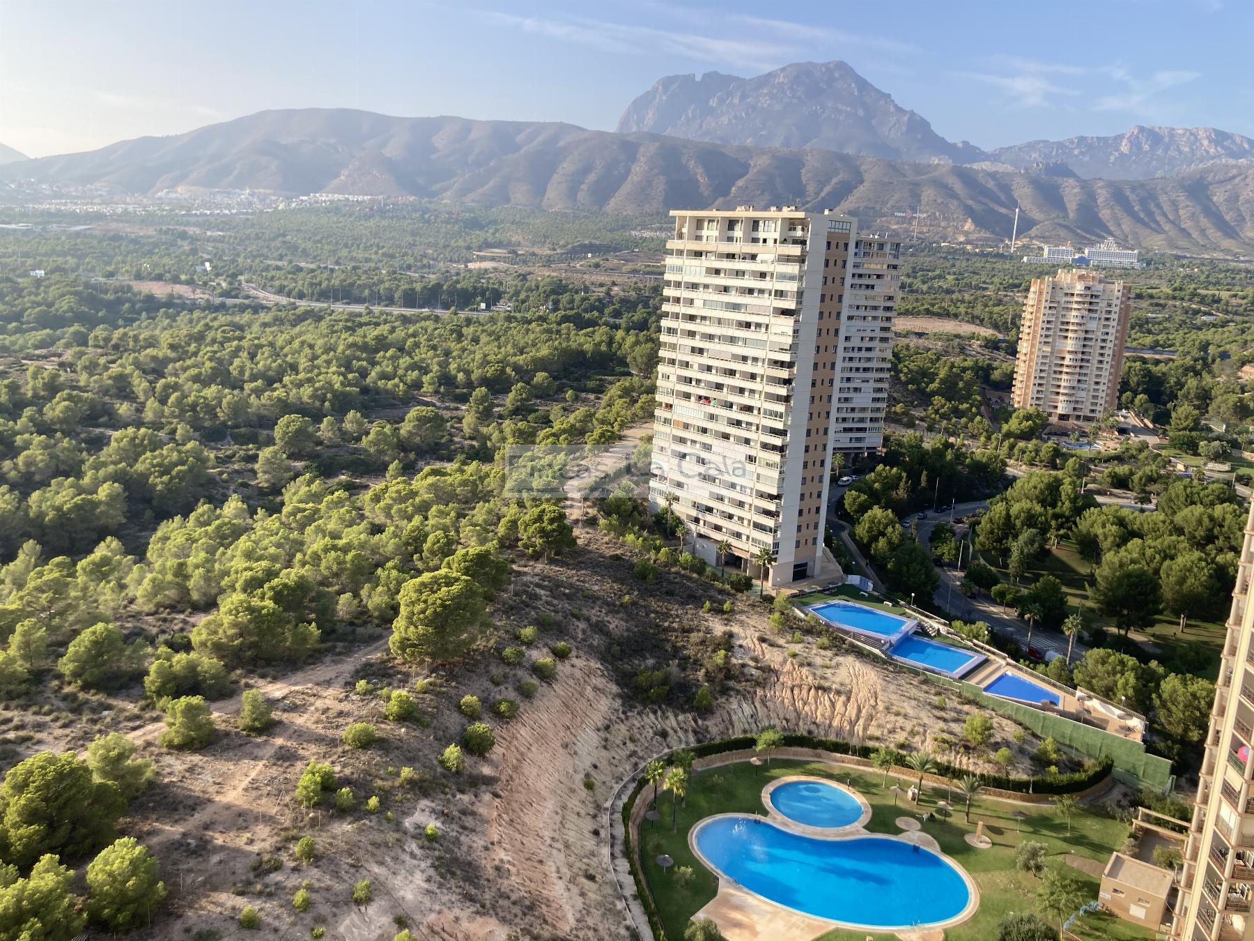Vente de appartement dans Benidorm
