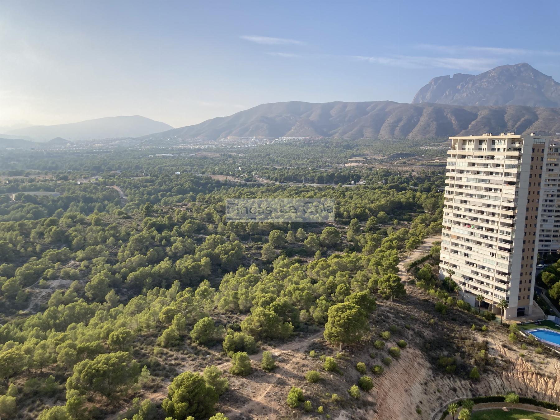Vente de appartement dans Benidorm