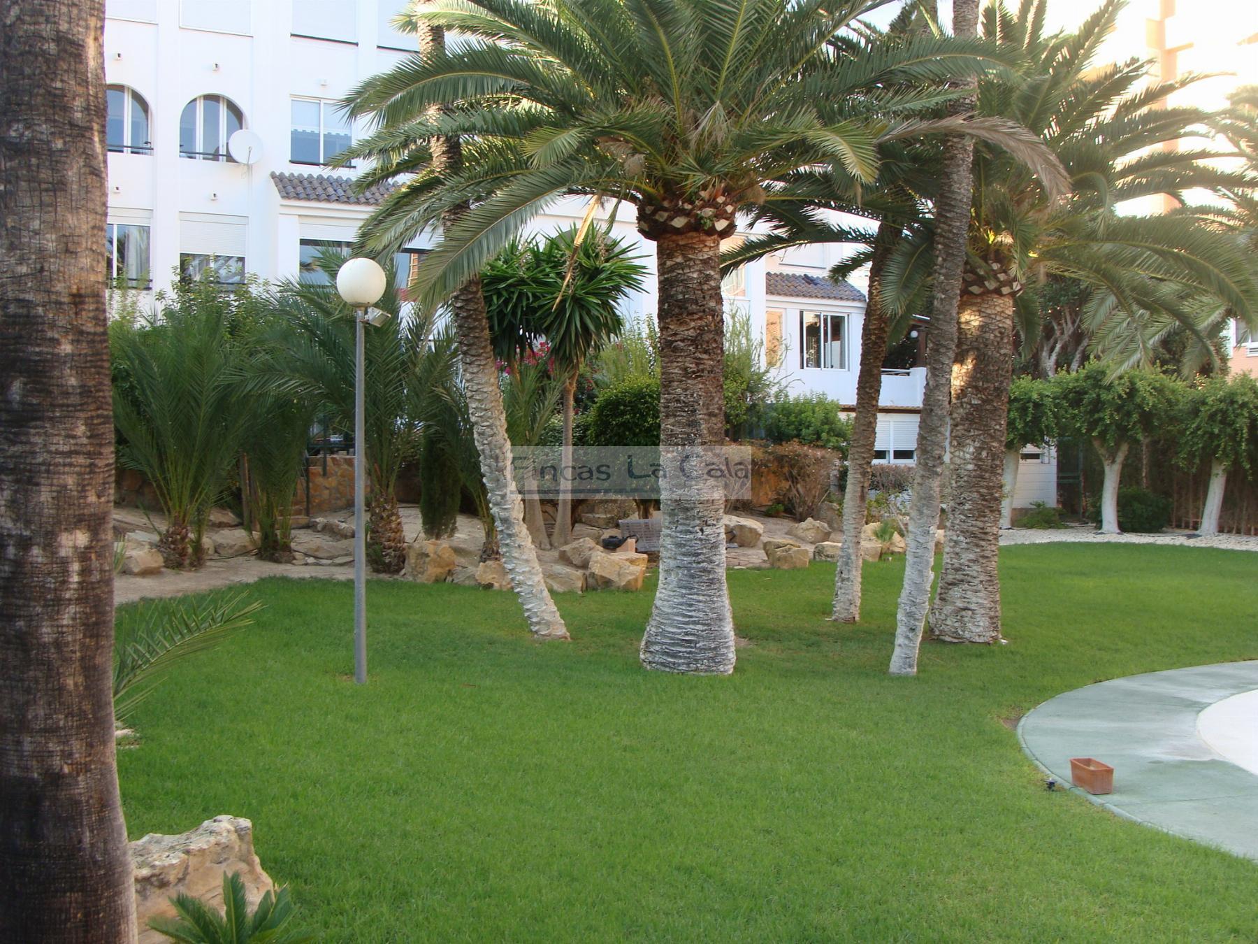 For rent of apartment in Finestrat