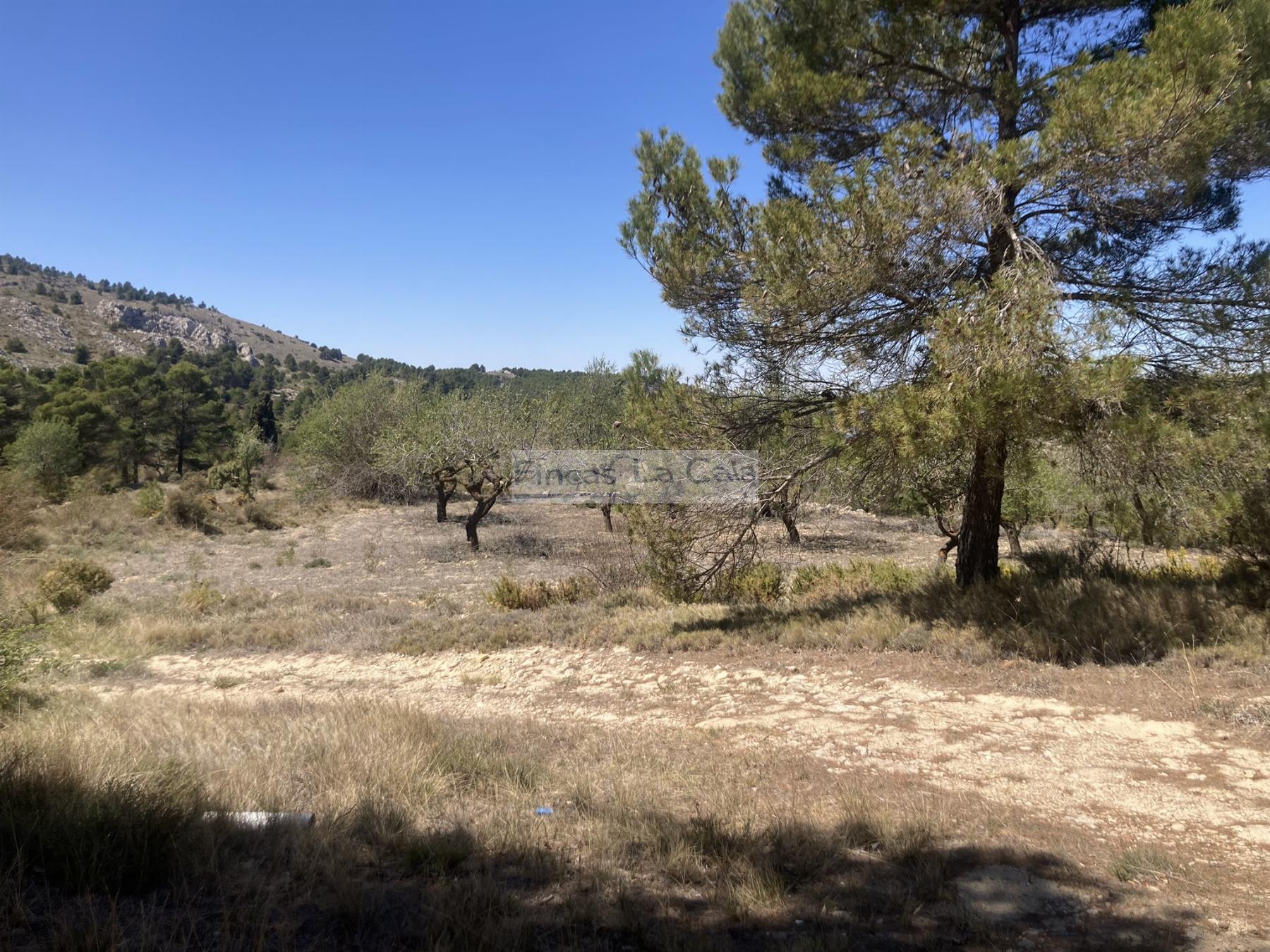 For sale of house in Confrides