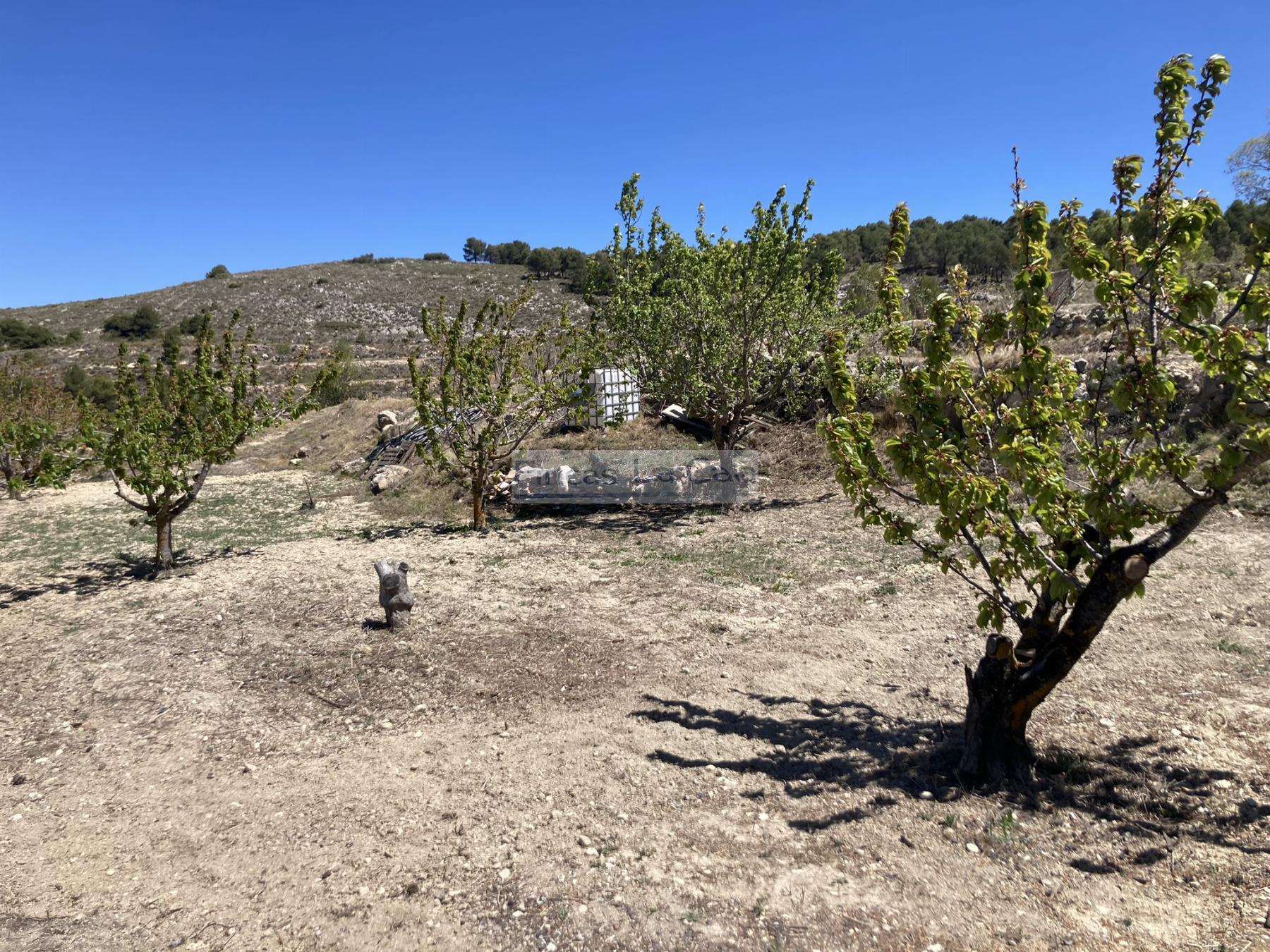 For sale of house in Confrides
