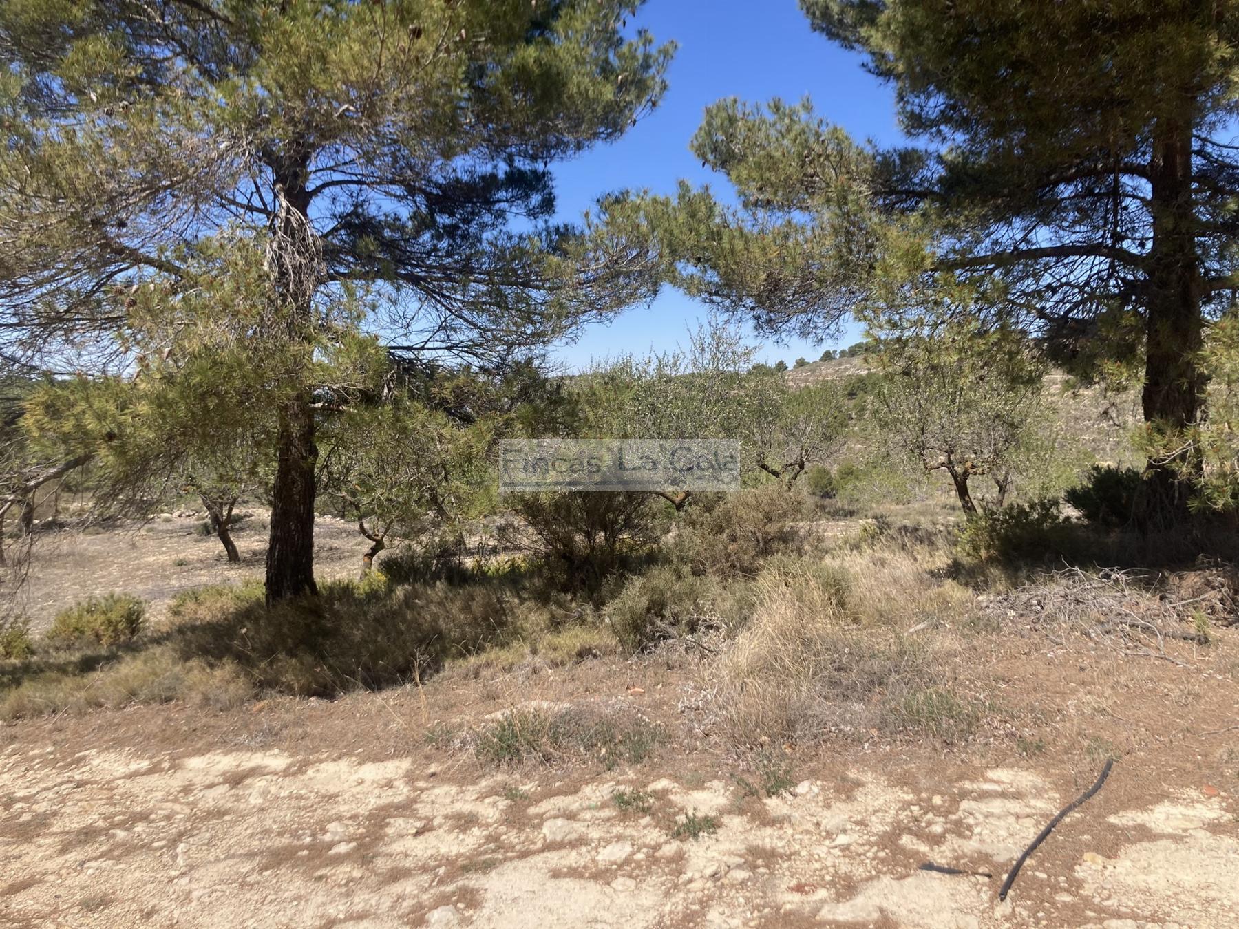 For sale of house in Confrides