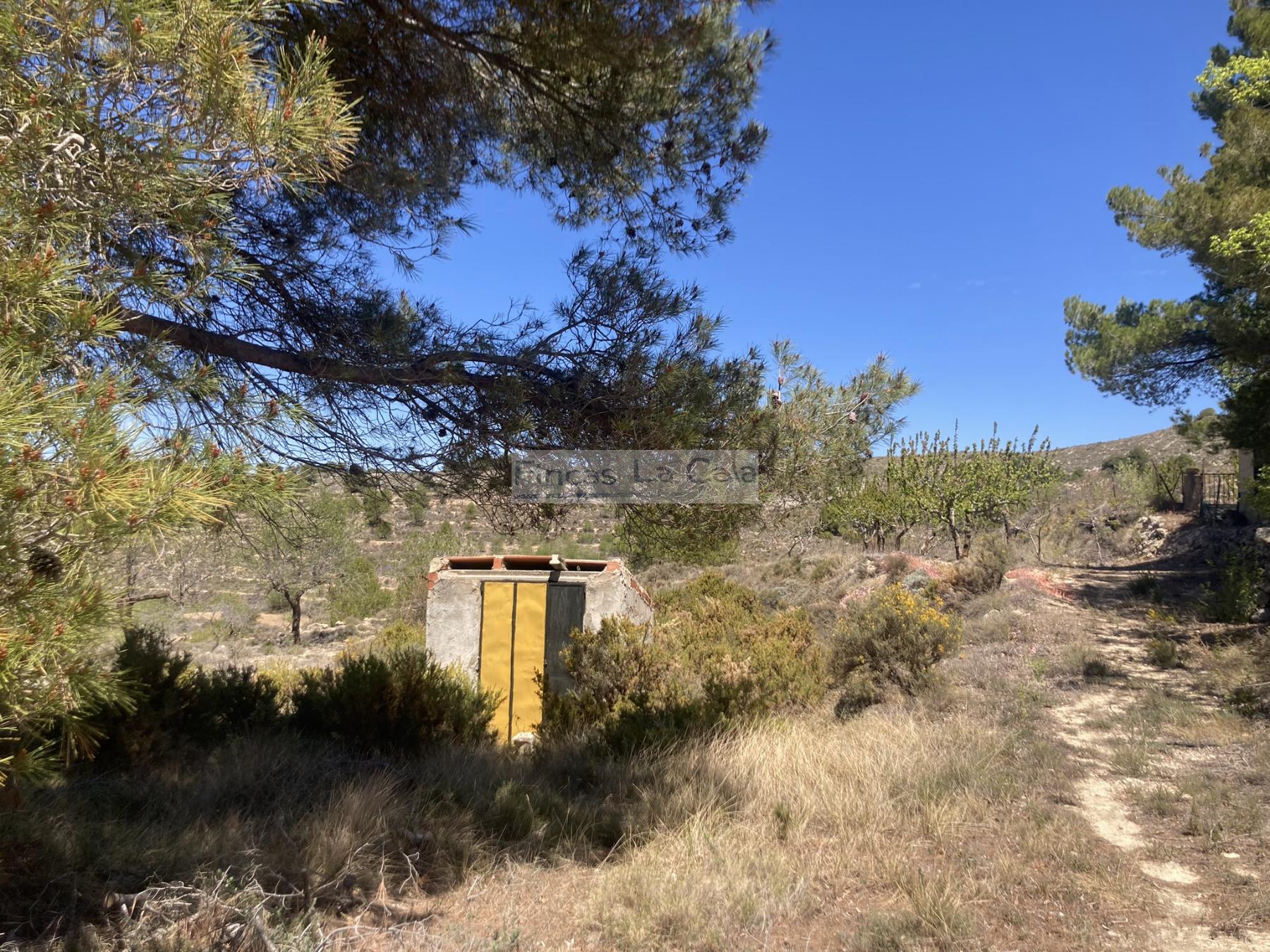 For sale of house in Confrides