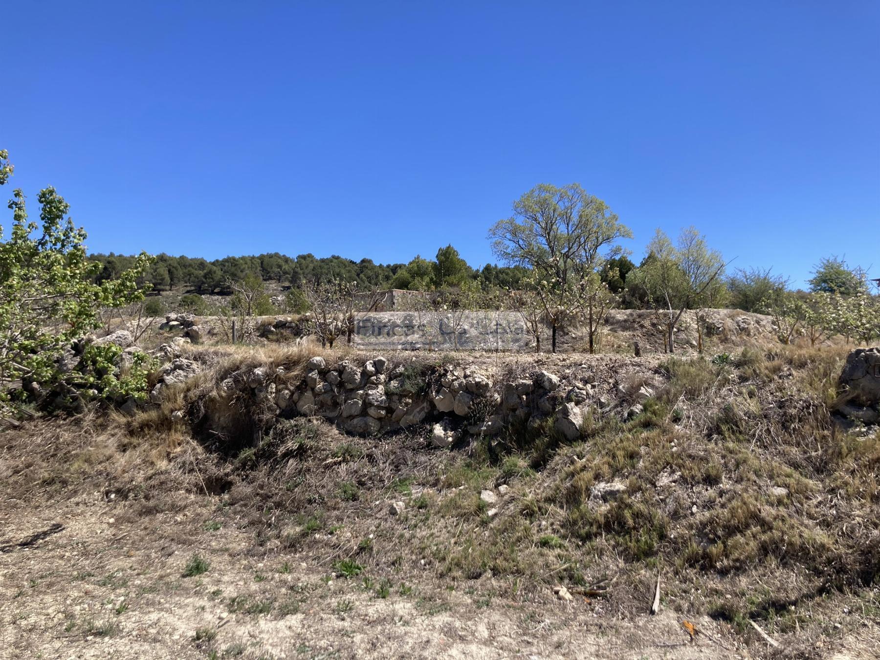 For sale of house in Confrides