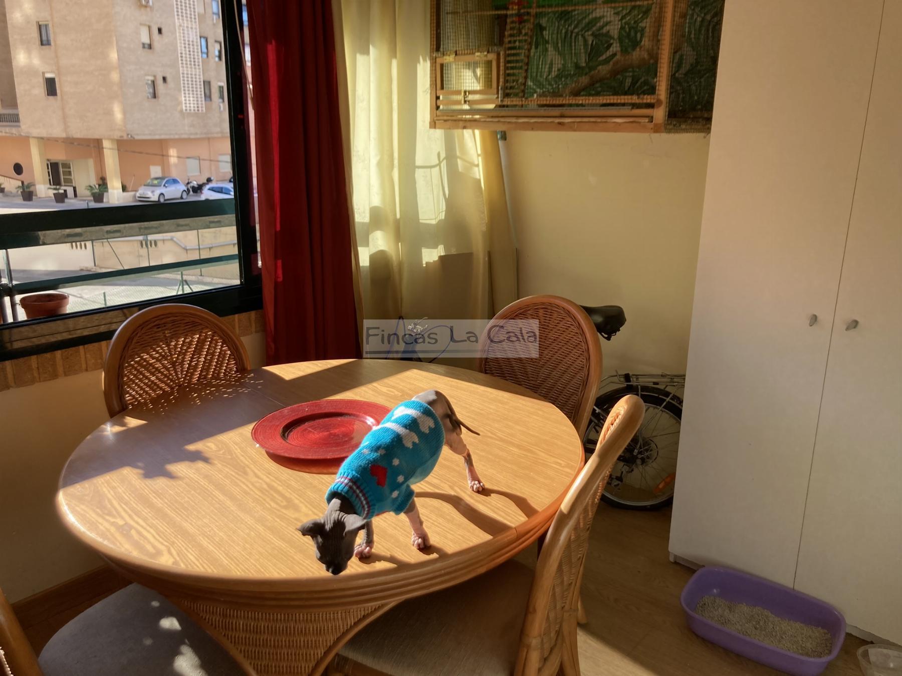 For sale of apartment in Finestrat