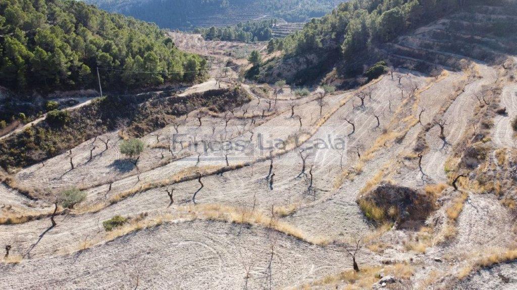 For sale of rural property in Relleu