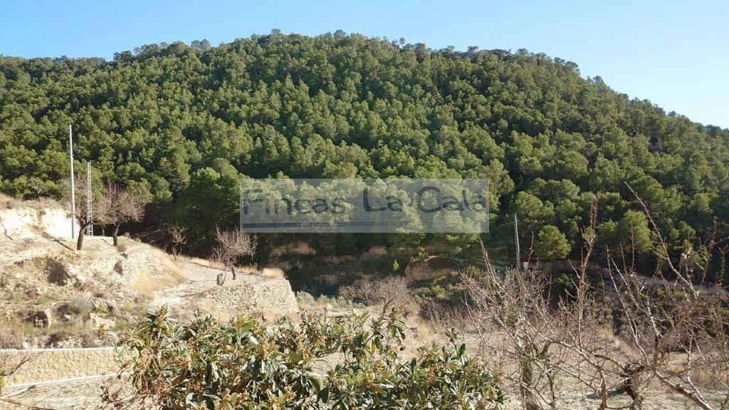 For sale of rural property in Relleu
