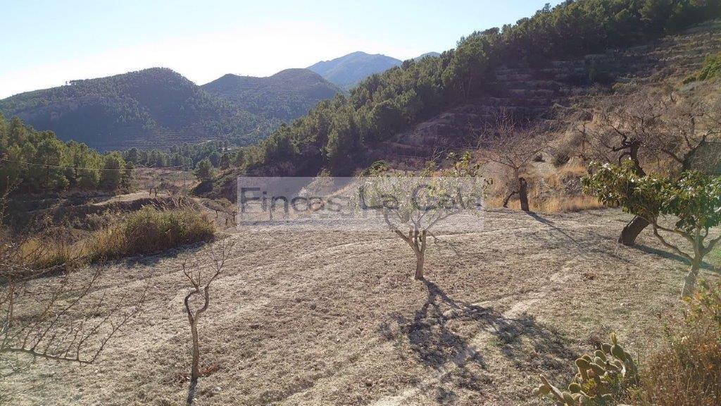 For sale of rural property in Relleu