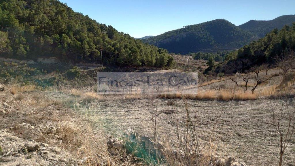 For sale of rural property in Relleu