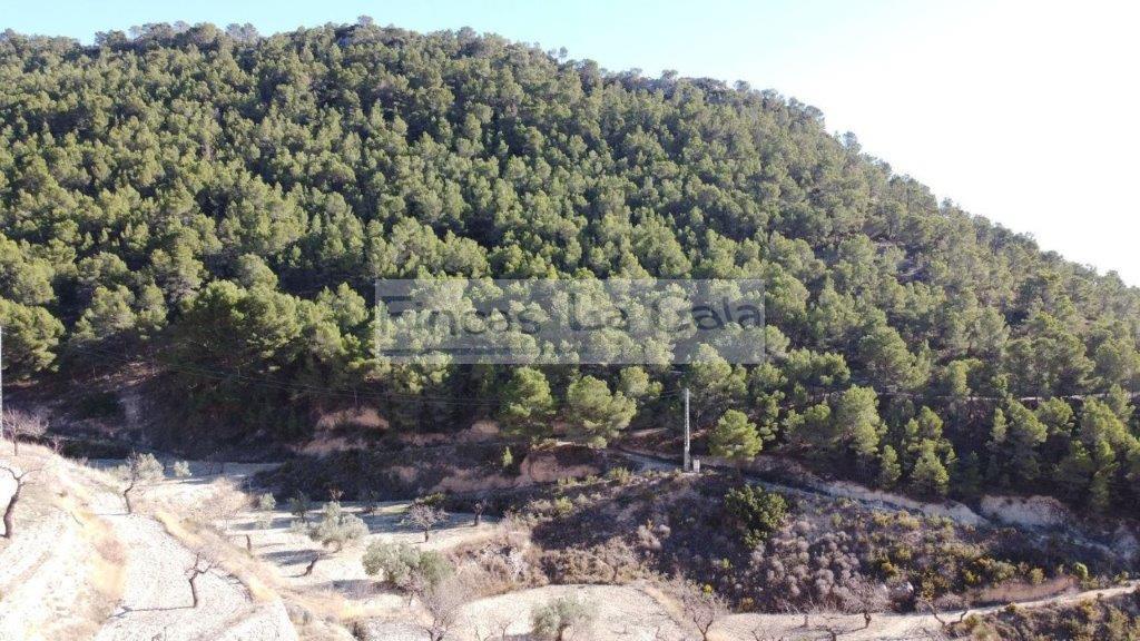 For sale of rural property in Relleu