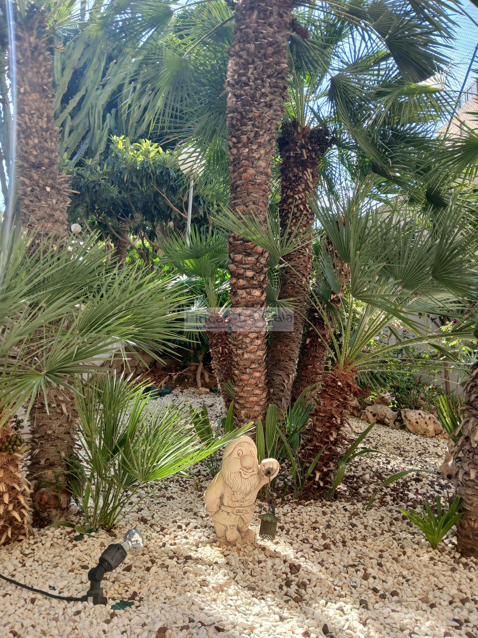 Venta de apartamento en Benidorm