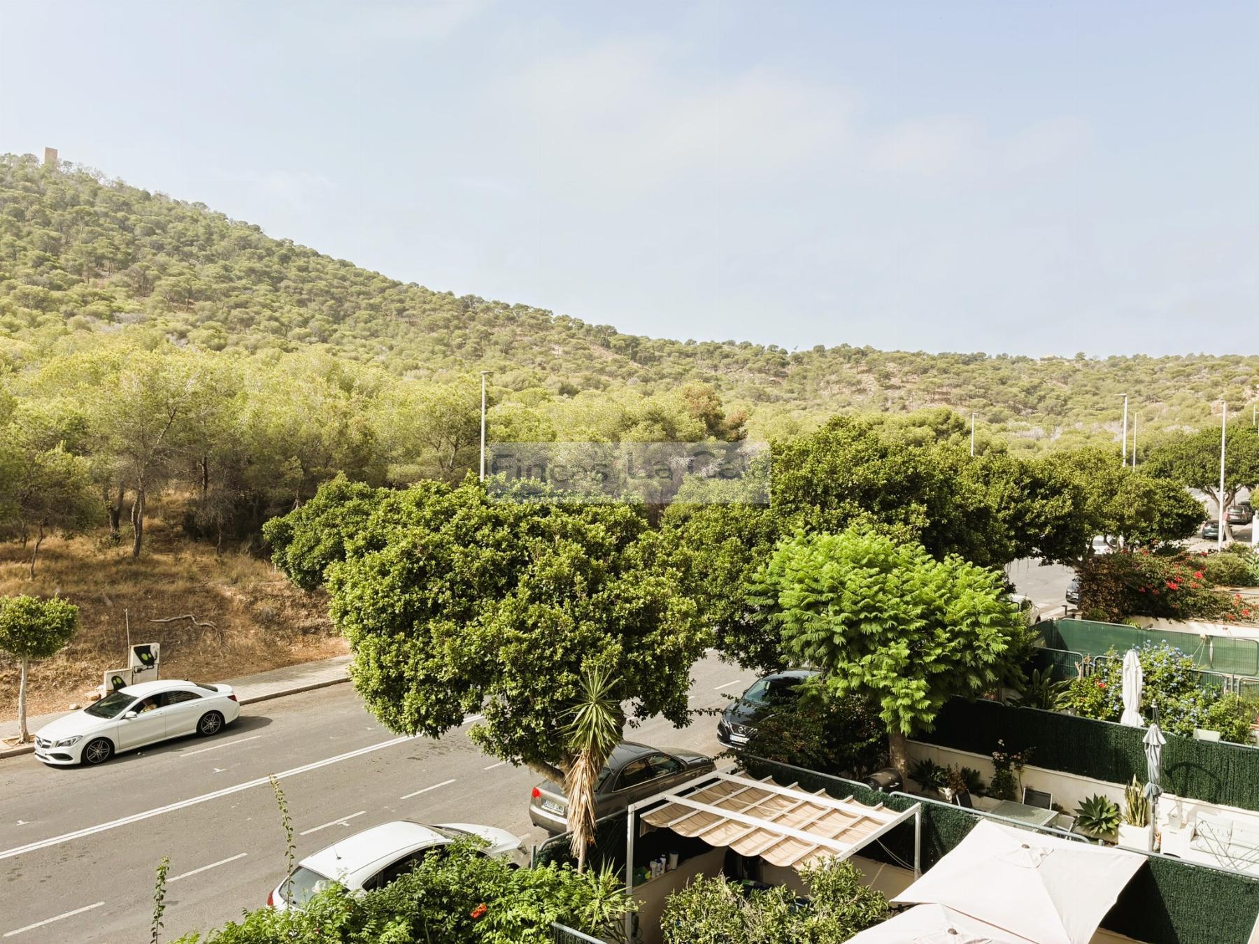 Vistas