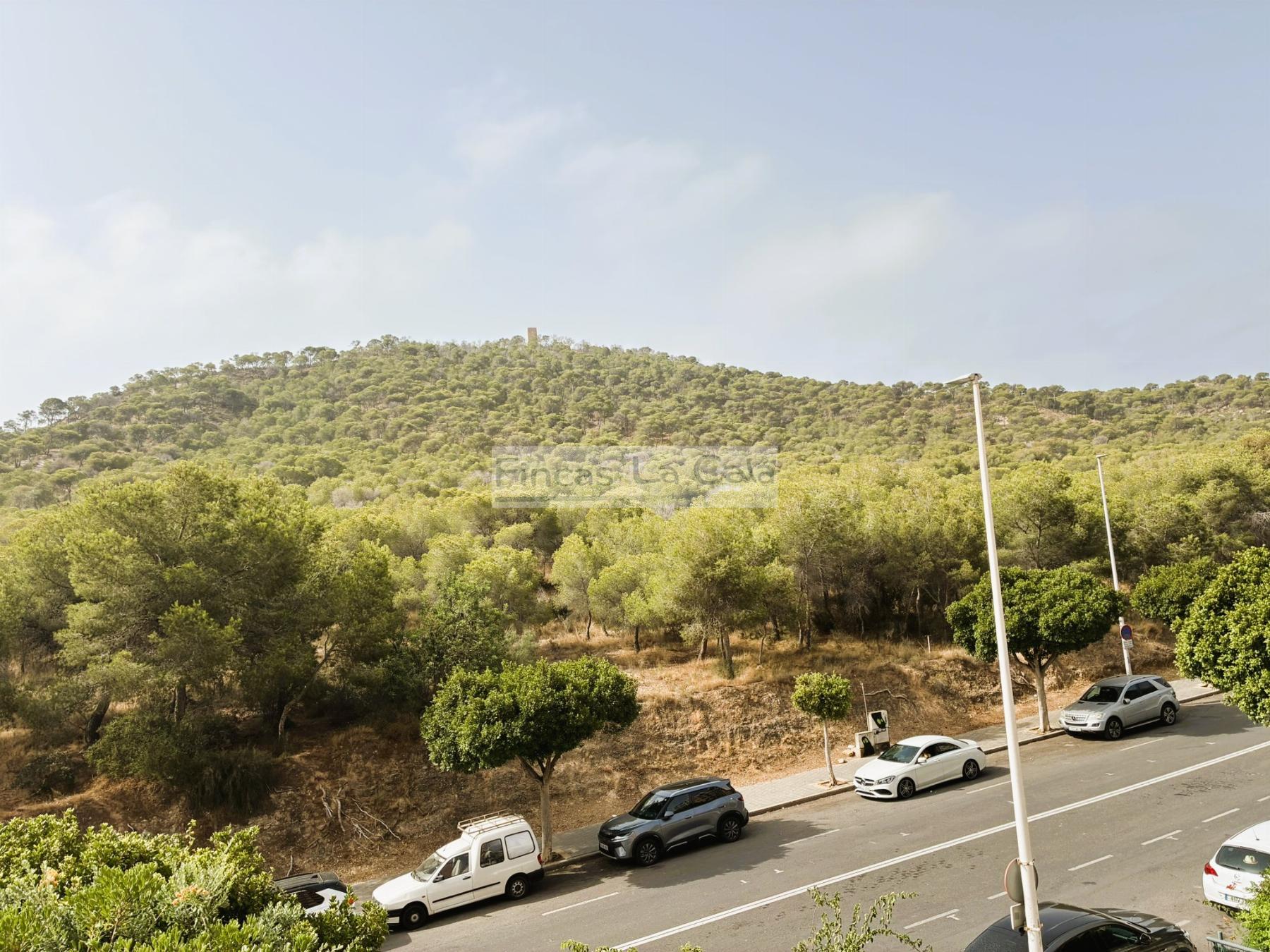 Vistas