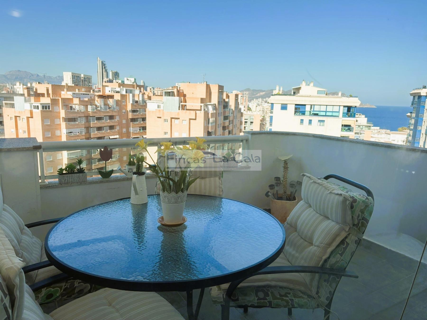 Terraza