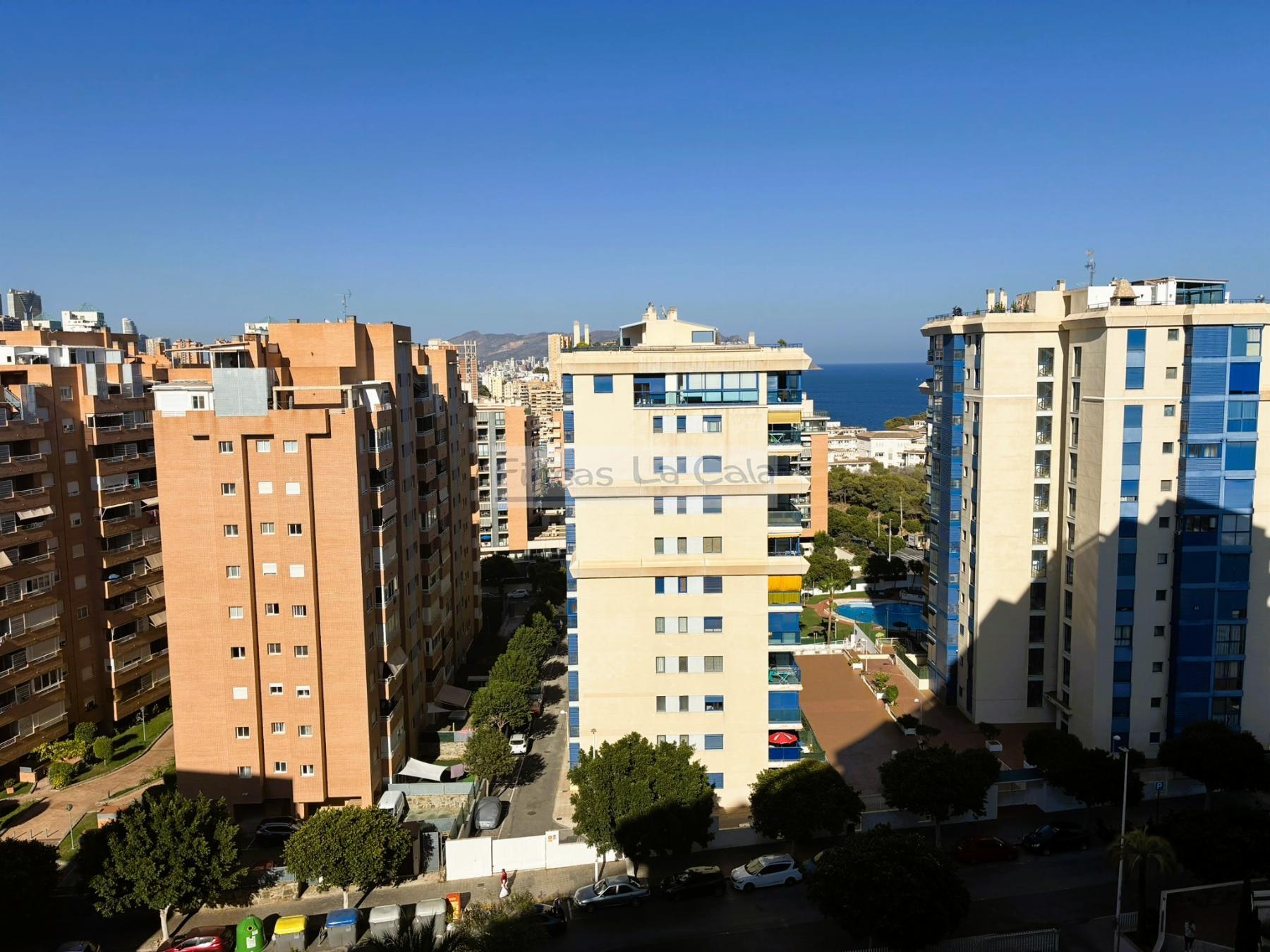 Vistas