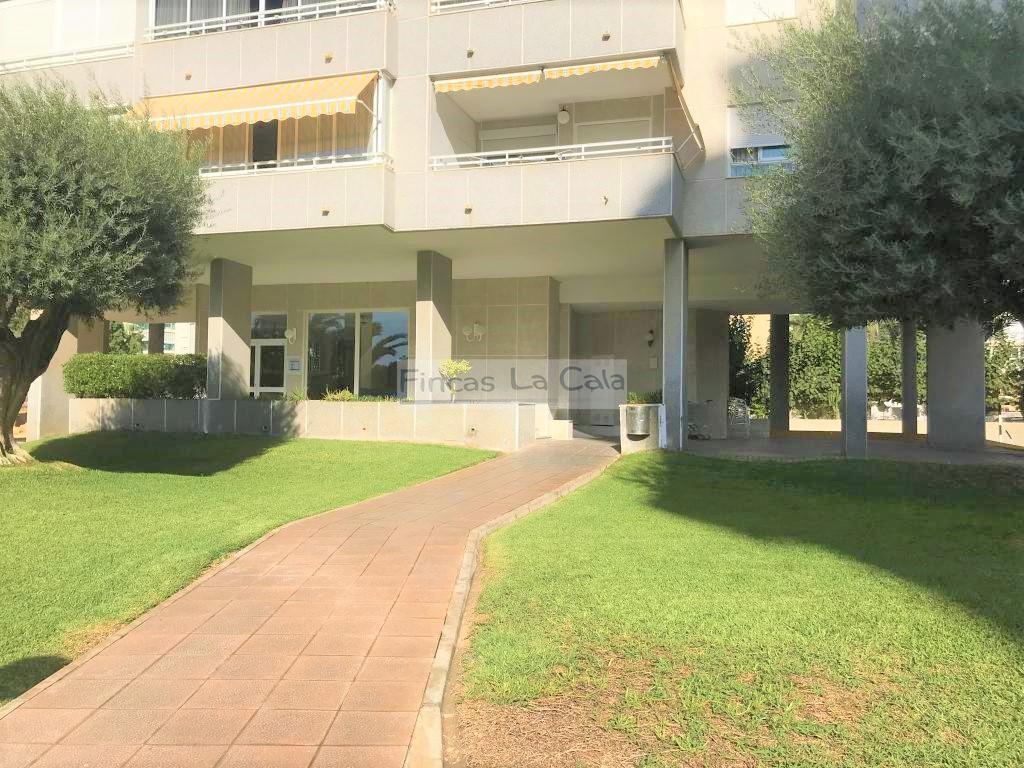 Alquiler de apartamento en Benidorm