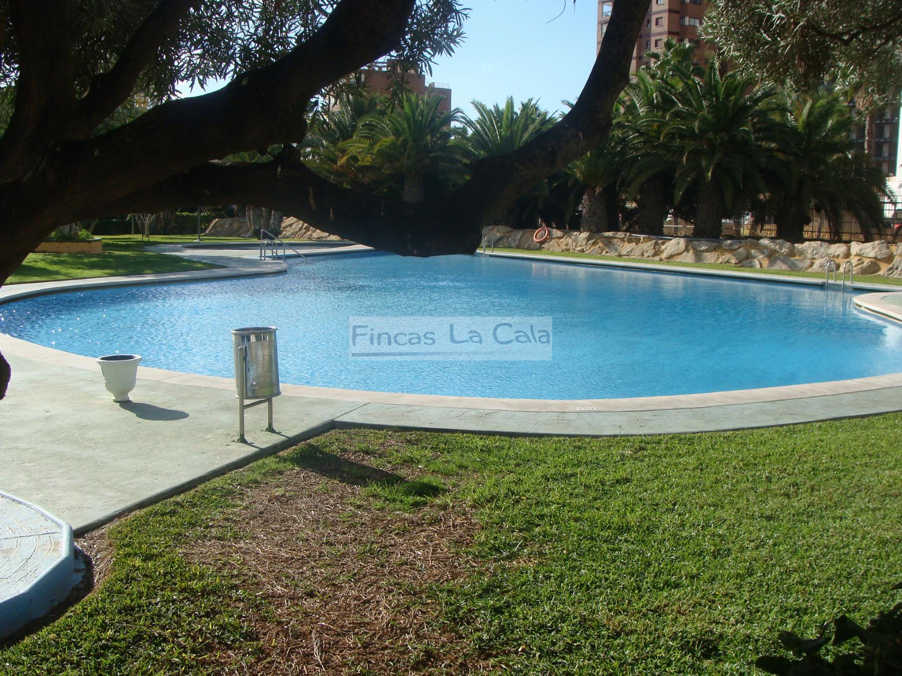Alquiler de apartamento en Benidorm