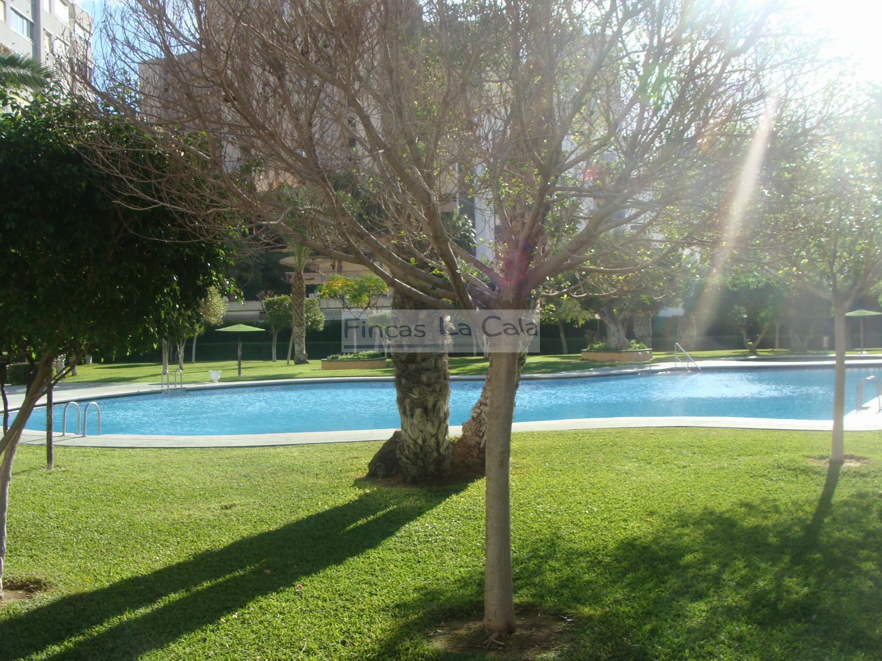 Alquiler de apartamento en Benidorm
