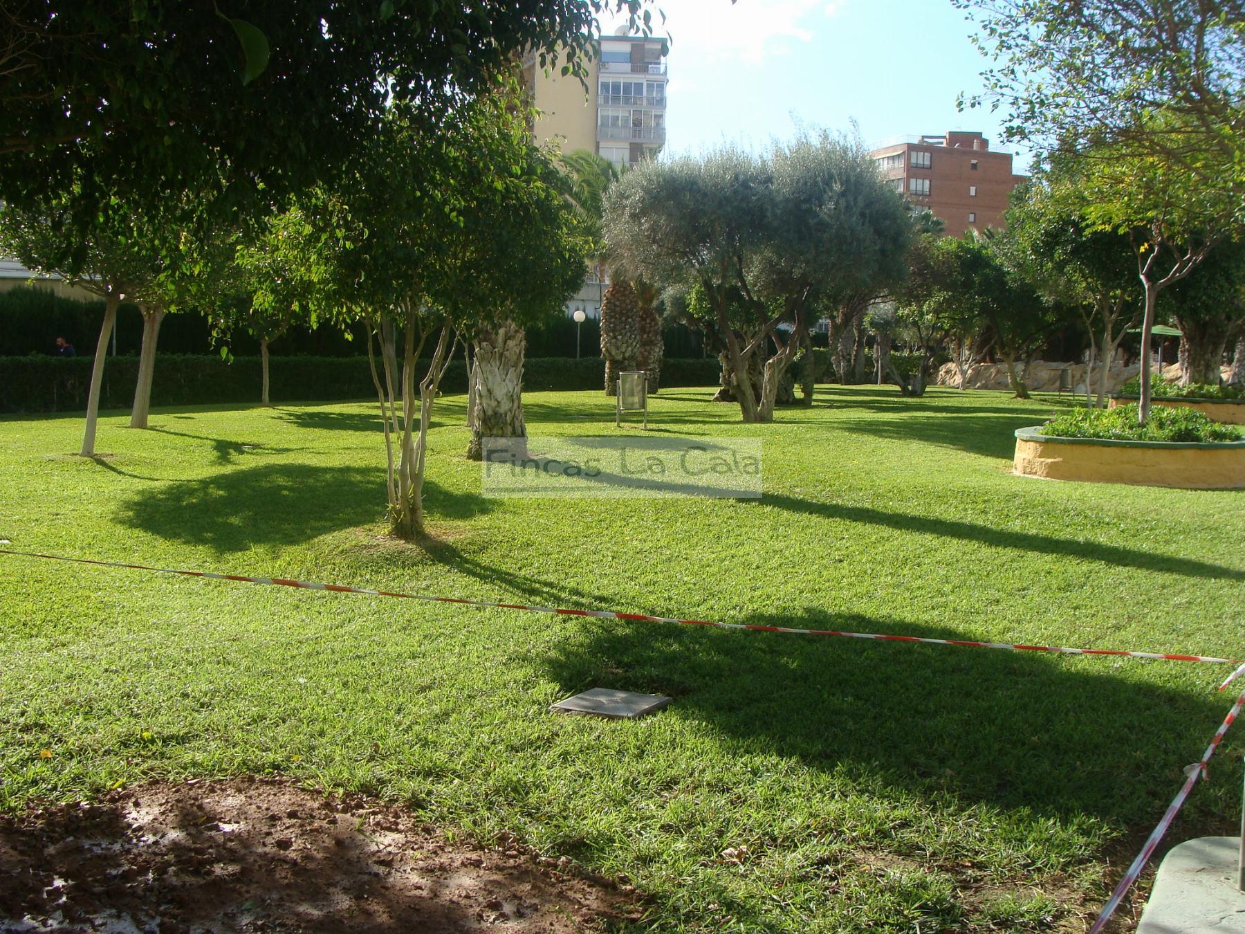 Alquiler de apartamento en Benidorm