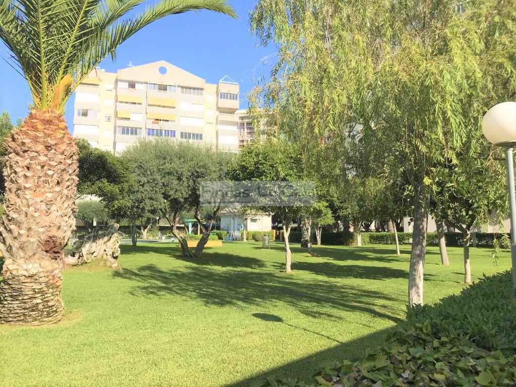 Alquiler de apartamento en Benidorm