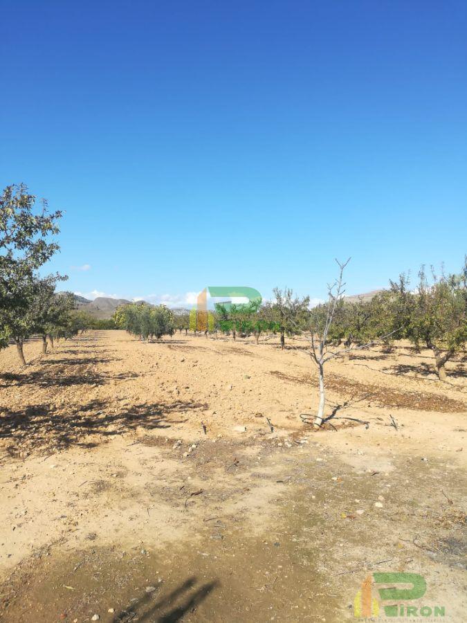 Venta de casa en Lorca