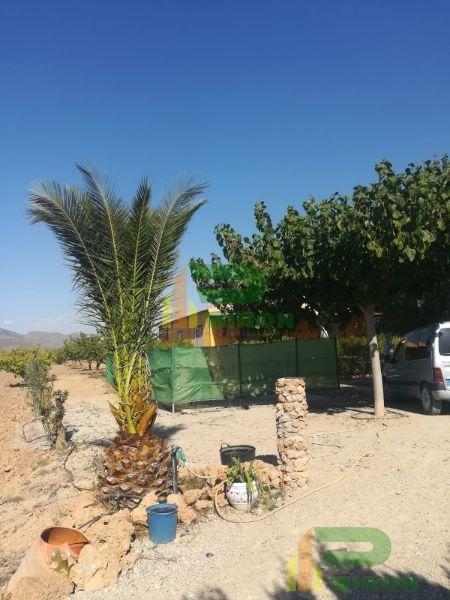 For sale of house in Lorca