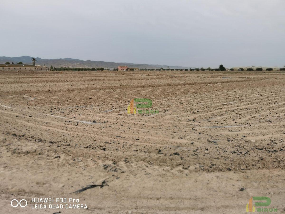 For sale of land in La Hoya de Lorca