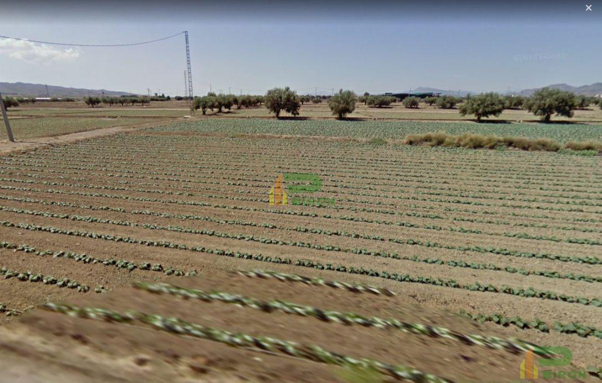 Venta de terreno en La Hoya de Lorca