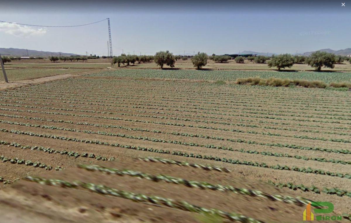 For sale of land in La Hoya de Lorca