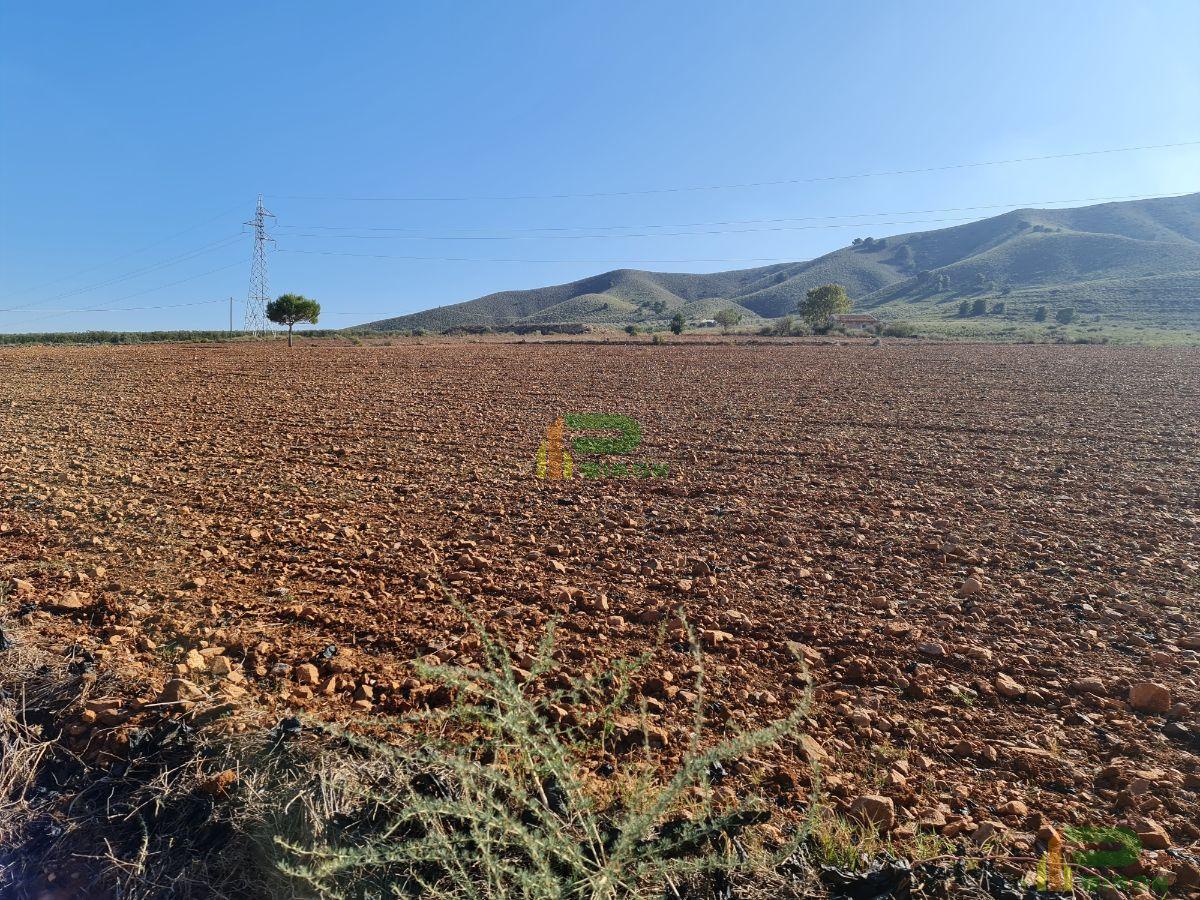 Venta de terreno en Totana