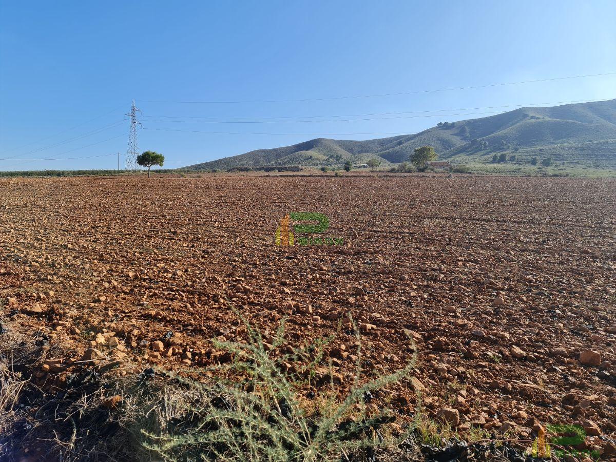 Terreno Terreno