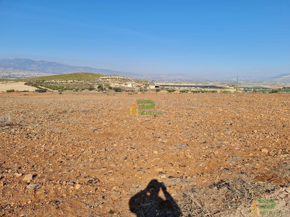 For sale of land in Totana