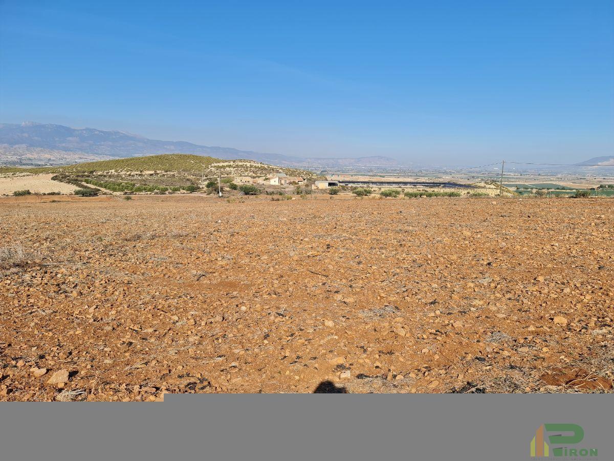For sale of land in Totana